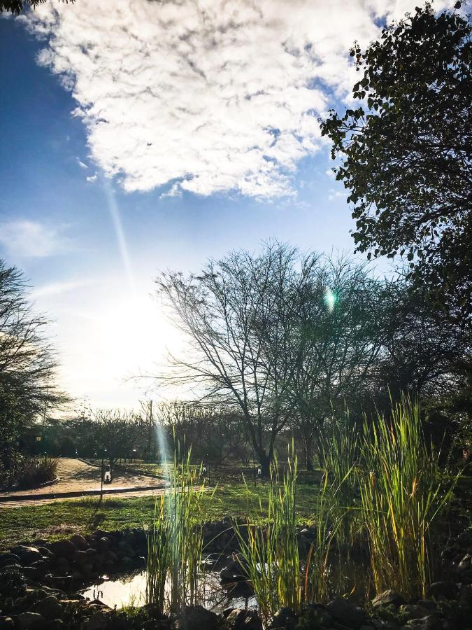 Olerai Lodge Arusha Kültér fotó